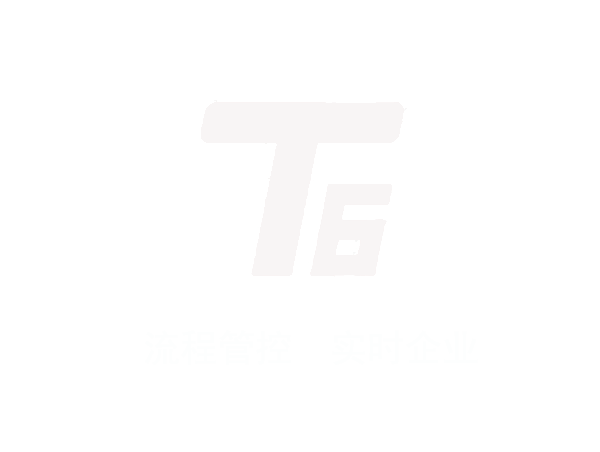 用友畅捷通T6